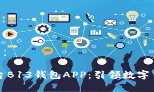 虚拟币交易平台B13钱包APP:引领数字货币投资新潮流