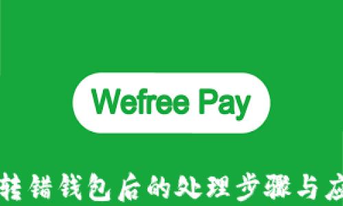 
虚拟币转错钱包后的处理步骤与应对策略