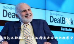 数字货币钱包选择指南：如何选择最适合你的数