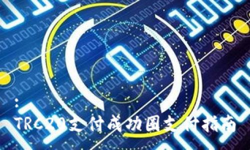 :
TRC20支付成功圈支付指南