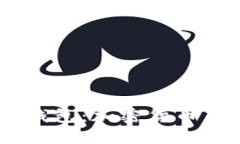 : DCCY官方钱包：加密货币新手必看指南