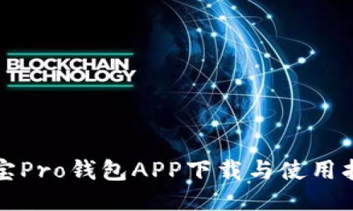 波宝Pro钱包APP下载与使用指南