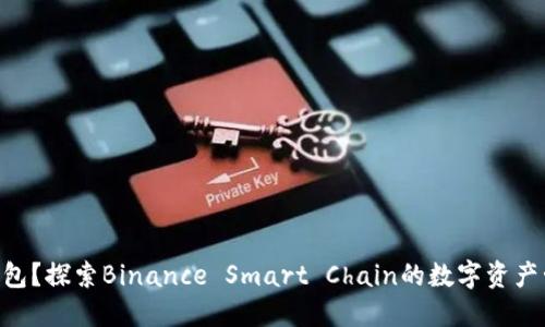什么是BSC钱包？探索Binance Smart Chain的数字资产管理解决方案