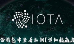 如何在备份钱包中查看私钥？详细指南与注意事