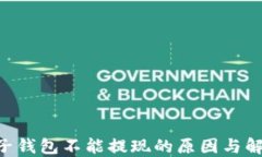 ETC电子钱包不能提现的原因与解决方案