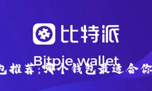 比特钱包推荐：哪个钱包最适合你的需求？
