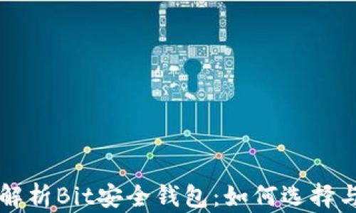 
全面解析Bit安全钱包：如何选择与使用