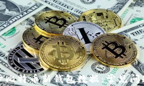 
如何高效同步比特币新钱包数据：常见问题与解决方案