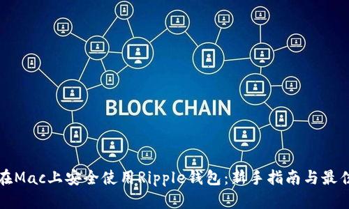 如何在Mac上安全使用Ripple钱包：新手指南与最佳实践