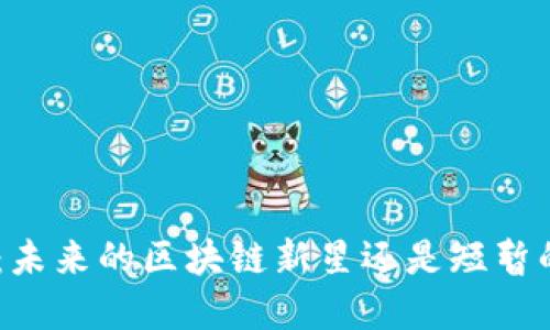 虚拟币BSV：未来的区块链新星还是短暂的昙花一现？