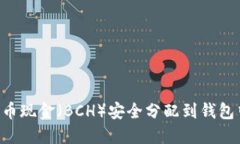 如何将比特币现金（BCH）安全分配到钱包中：全