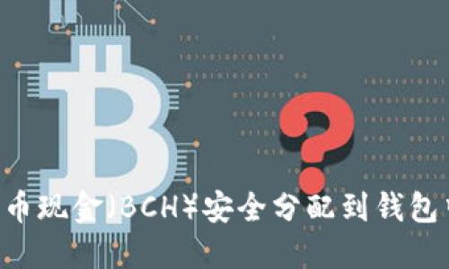 如何将比特币现金（BCH）安全分配到钱包中：全面指南