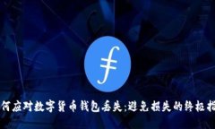 如何应对数字货币钱包丢失：避免损失的终极指