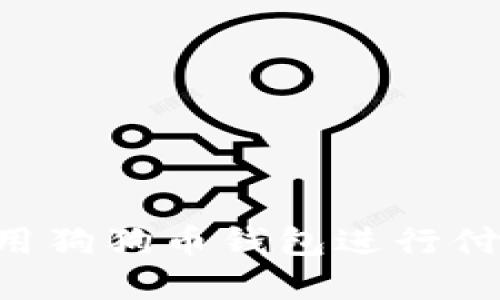 如何安全便捷地使用狗狗币钱包进行付款：技巧与实用指南