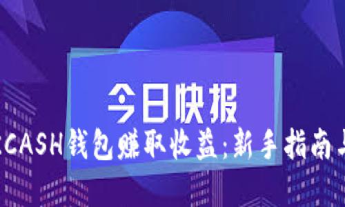 如何通过KCASH钱包赚取收益：新手指南与实用技巧