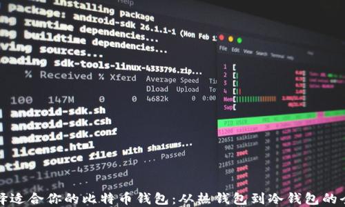
如何选择适合你的比特币钱包：从热钱包到冷钱包的全面指南
