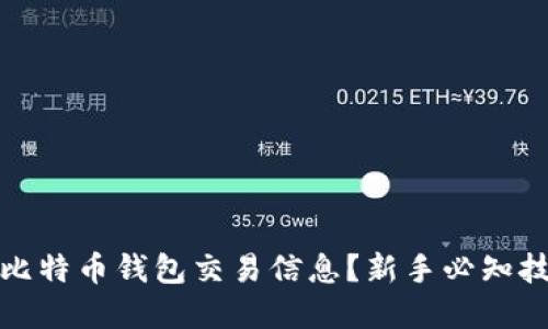 如何高效查询比特币钱包交易信息？新手必知技巧与实用工具