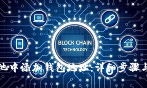 如何在蚂蚁矿池中添加钱包地址：详细步骤与常见问题解答