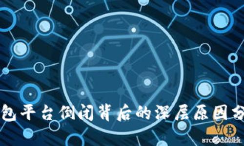 虚拟币钱包平台倒闭背后的深层原因分析与反思