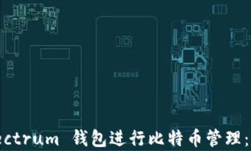 
如何有效使用 Electrum 钱包进行比特币管理：从基础到高级技巧