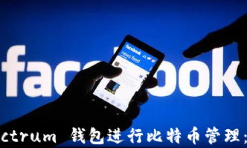 
如何有效使用 Electrum 钱包进行比特币管理：从基础到高级技巧