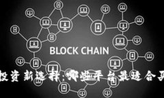 2023年投资新选择：哪些平台最适合买虚拟币？