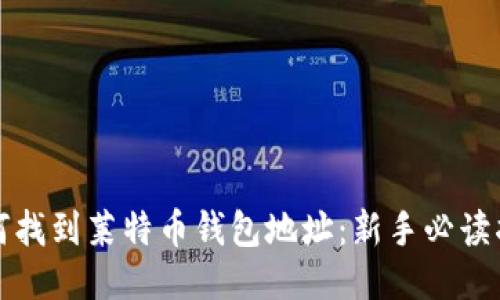 如何找到莱特币钱包地址：新手必读指南