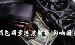 莱特币钱包同步速度解析：影响因素与建议