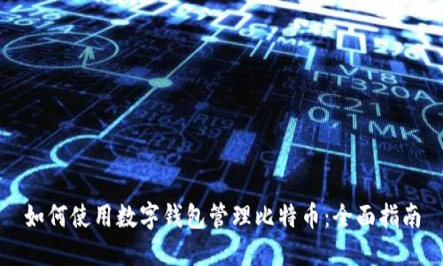 如何使用数字钱包管理比特币：全面指南