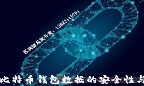 
深入解析比特币钱包数据的安全性与使用技巧