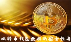 深入解析比特币钱包数据的安全性与使用技巧