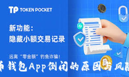   
虚拟币钱包App倒闭的原因与风险分析