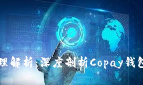比特币钱包原理解析：深度剖析Copay钱包的特性与功能