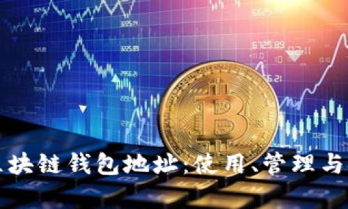 深入了解区块链钱包地址：使用、管理与安全性分析