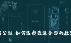 数字货币钱包与公链：如何选择最适合你的数字