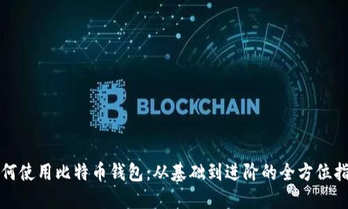 如何使用比特币钱包：从基础到进阶的全方位指南