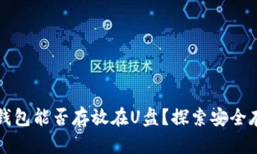比特币钱包能否存放在U盘？探索安全存储方案