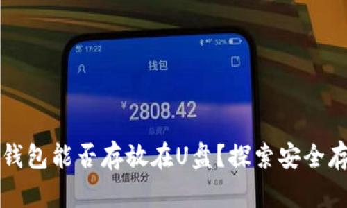 比特币钱包能否存放在U盘？探索安全存储方案