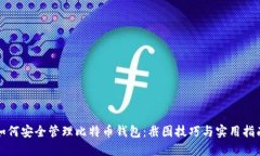 如何安全管理比特币钱包：截图技巧与实用指南