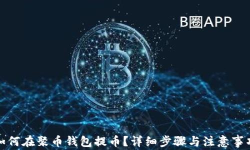 
如何在聚币钱包提币？详细步骤与注意事项