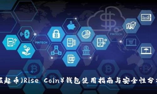 崛起币（Rise Coin）钱包使用指南与安全性分析