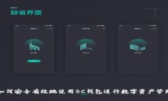 如何安全有效地使用BC钱包进行数字资产管理