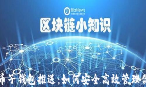 
数字货币子钱包推送：如何安全高效管理你的资产