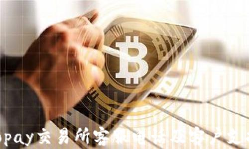 
baiotiTopay交易所客服电话及客户支持全解析