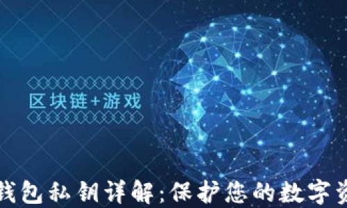 
虚拟币钱包私钥详解：保护您的数字资产安全