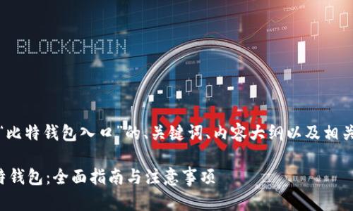 好的，以下是基于“比特钱包入口”的、关键词、内容大纲以及相关问题的详细安排。

如何安全进入比特钱包：全面指南与注意事项