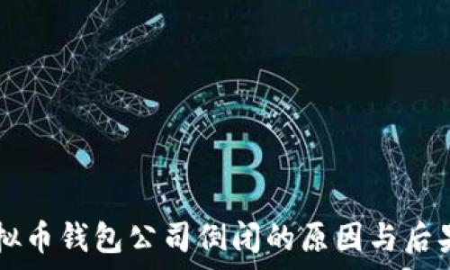   
  虚拟币钱包公司倒闭的原因与后果分析