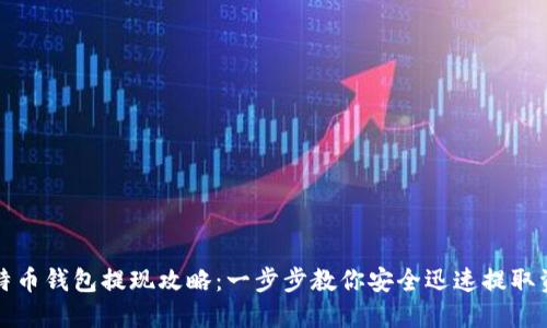 莱特币钱包提现攻略：一步步教你安全迅速提取资金