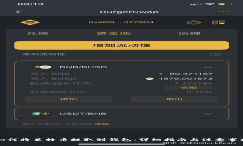 如何将莱特币提取到钱包：详细指南与注意事项