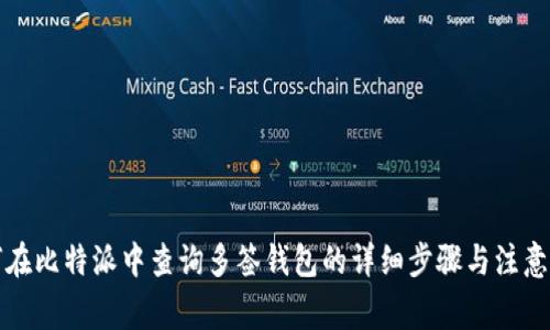 如何在比特派中查询多签钱包的详细步骤与注意事项